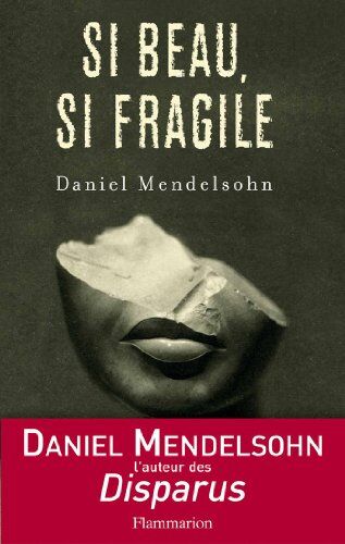 Daniel Mendelsohn - Si beau, si fragile : essais critiques - Preis vom 11.10.2026 03:10:56 h