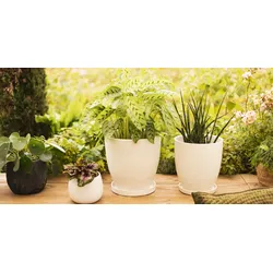 Wikholm form Design Pflanzgefäß / Blumentopf cremeweiß ⌀ 26 x H 27 cm