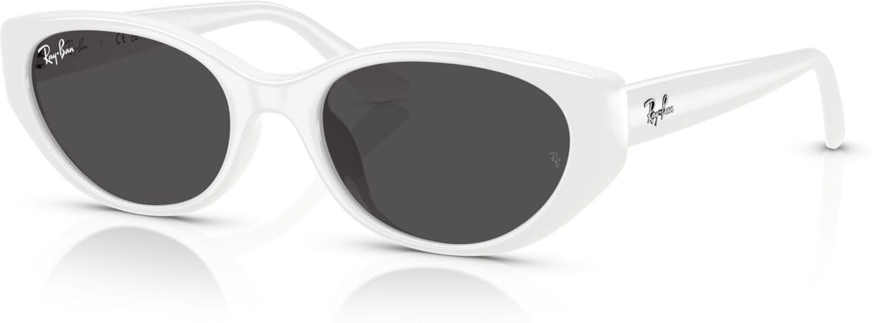 Ray-Ban 4457D (677287)