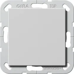 Gira Wippschalter BS 20 AX 2836015