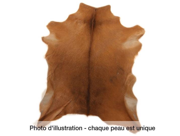 Peau de chèvre en cuir goat