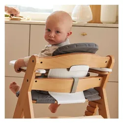 Hauck, Hochstuhl, Hochstühle Hochstuhl Alpha Move - im Sparset inkl. Baby (Hochstuhl)