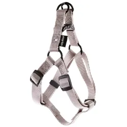 Martin Sellier Baud XS (XS, Hund, Allgemein, Spazieren), Halsband + Leine