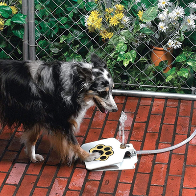 PetsAreLife Dog Water Fountain Dog Water Fountain