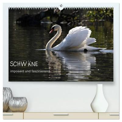 Schwäne - imposant und faszinierend (hochwertiger Premium Wandkalender 2027 DIN A2 quer), Kunstdruck in Hochglanz