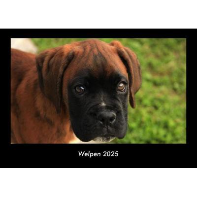 Welpen 2025 Fotokalender DIN A3