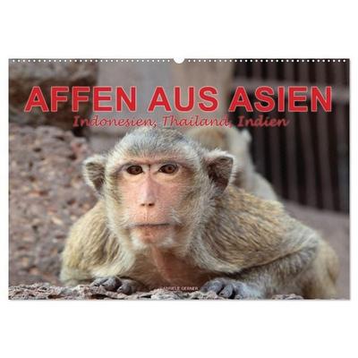 AFFEN AUS ASIEN Indonesien, Thailand, Indien (Wandkalender 2027 DIN A2 quer), CALVENDO Monatskalender