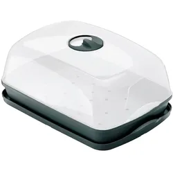 Prosperplast - RESPANA TISCHGEWÄCHSHAUS 3,6L Saatbeet - 39,1x25,7x18,5cm in Anthrazitfarbe
