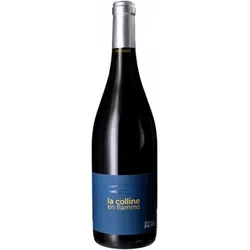La Colline en Flamme 2025 - Vignoble des Pothiers