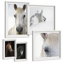 BILDER SET 5er Set - 50x50 cm & 20x30 cm & 40x60 cm Weißer Rahmen - Pferdeporträts in Schattierungen
