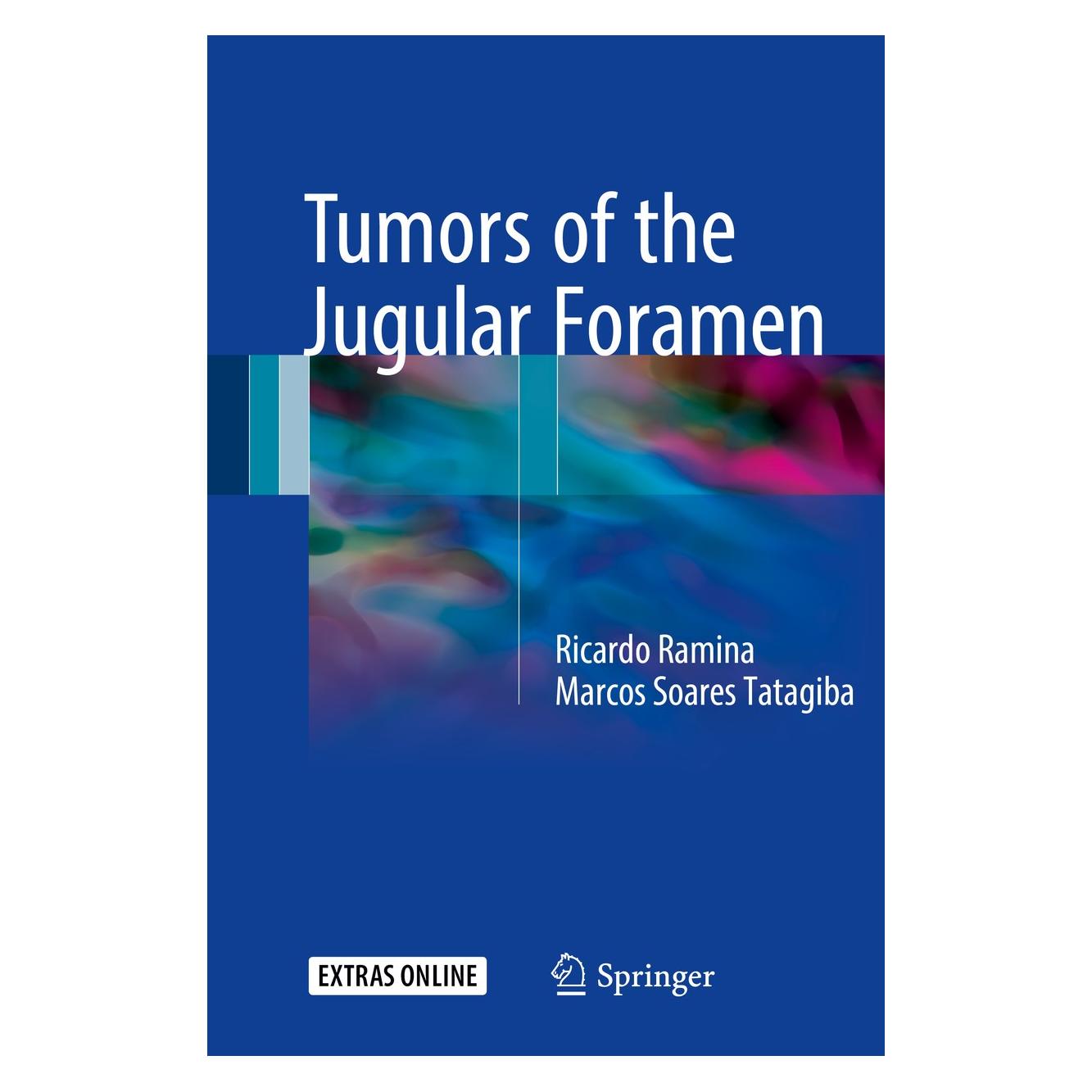 Springer Ramina:Tumors of the Jugular Foramen (Englisch, Hardcover, Marcos Soares Tatagiba, Ricardo Ramina) (9783319433660)