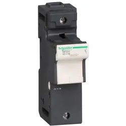 Schneider Electric Sicherungshalter TeSys, 1p DF221