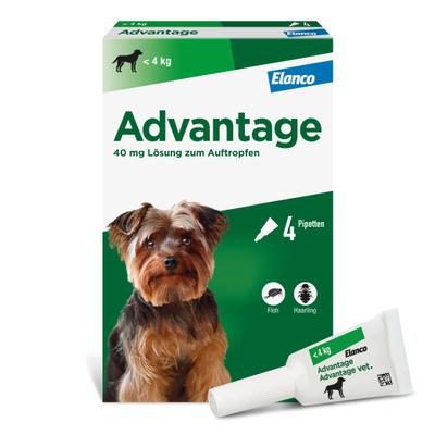 Advantage 40 Lösung f.Hunde bis 4 kg St