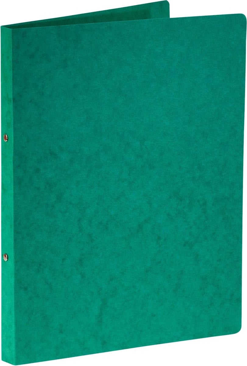 Bronyl ringmap voor A4, glanskarton, 2 ringen van 16 mm, groen