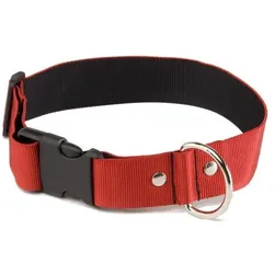 Martin Sellier L (L, Hund, Allgemein, Spazieren), Halsband + Leine