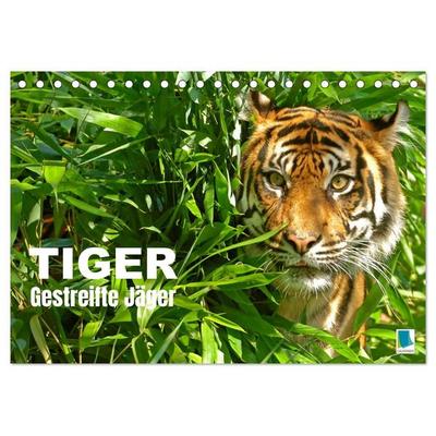 Tiger: Gestreifte Jäger (Tischkalender 2027 DIN A5 quer), CALVENDO Monatskalender