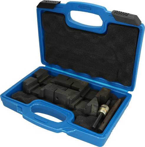 Brilliant Tools BT591500 Motor-Einstellwerkzeug-Satz für BMW M60, M62