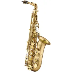 Antigua Altsax Splendid Lacquer Finish AS4248SFL-GH - Altsaxophon