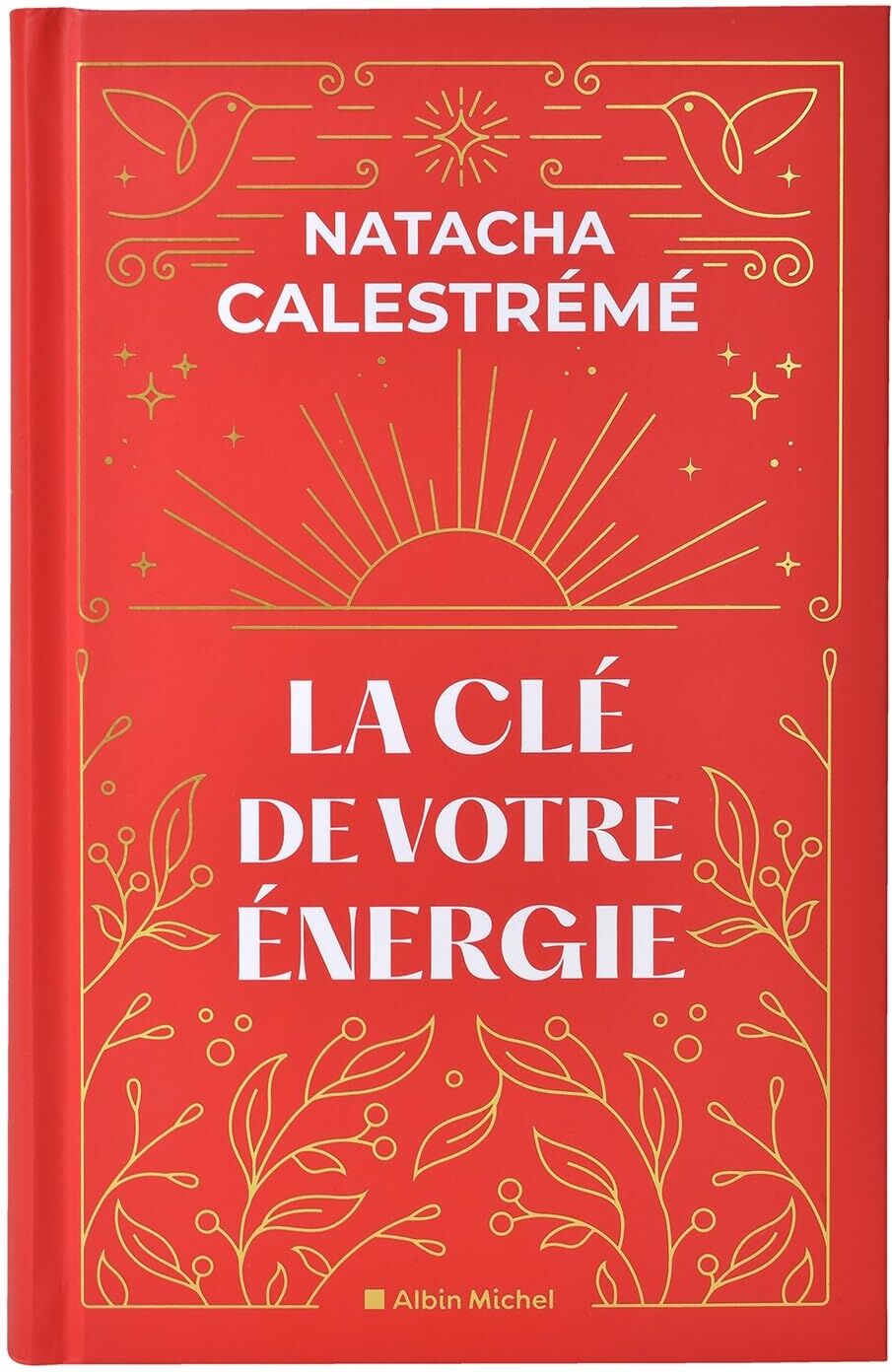 Natacha Calestrémé - La clé de votre énergie : 22 protocoles pour vous libérer émotionnellement - Preis vom 13.10.2026 19:28:25 h