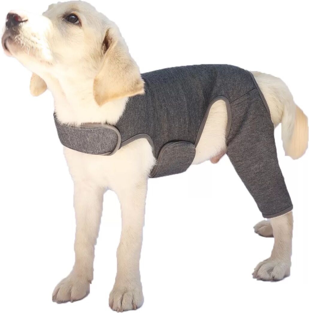 INF Hunde Hinterbein Doppel Schutzhülle - Haustier Post-OP & Wundheilungshilfe XL