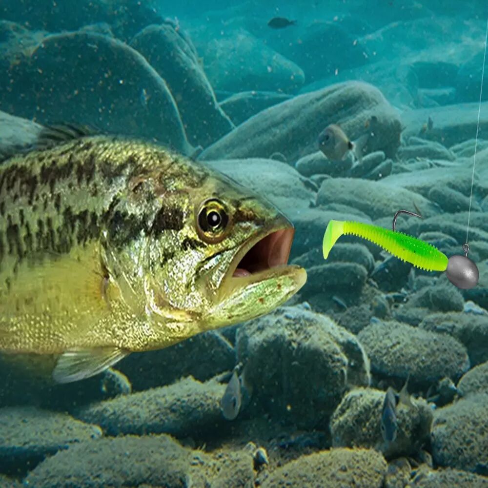 INF Micro Fishing Soft Lure Ribbed T-Tail 35mm - 100 Stück PVC Köder Transparent+Weiß