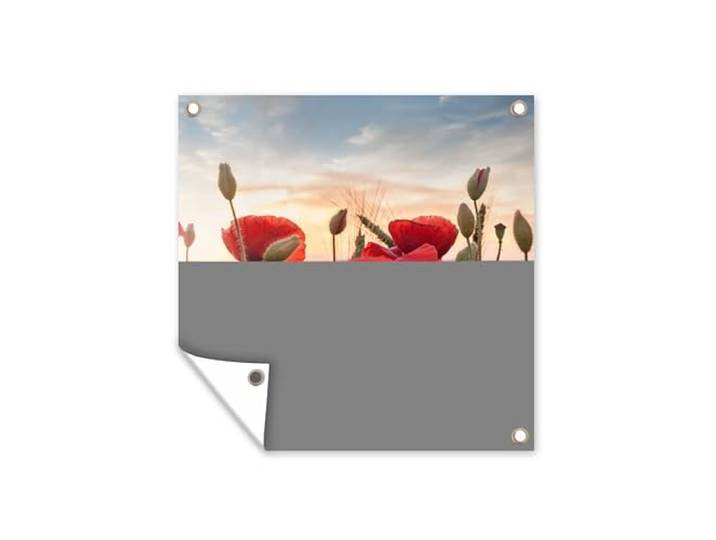 Tuinposter - 200x200 cm - Zonsondergang achter de mooie Klaprozen