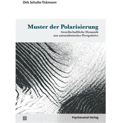 Muster der Polarisierung, Fachbücher von Dirk Schulte-Tickmann