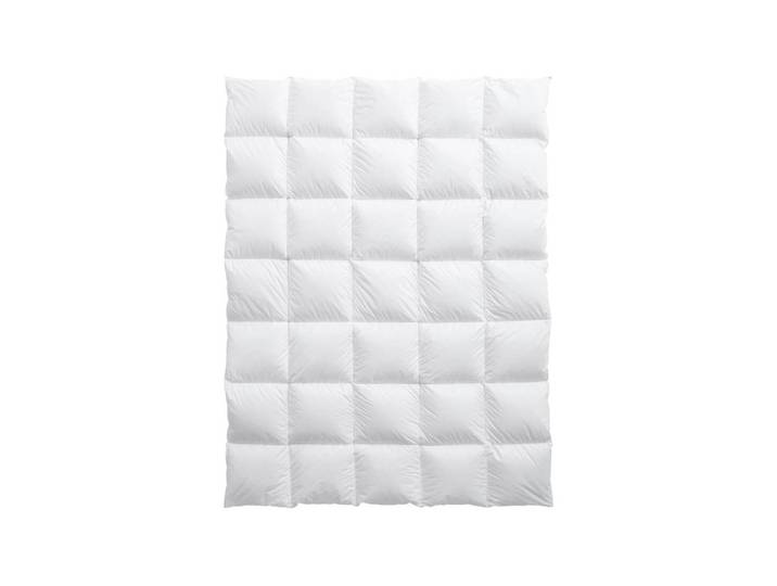 Billerbeck Edition Hayo Medium 160x210cm Daunenduvet