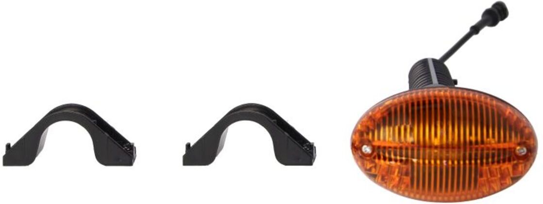 Blinkerleuchte Seite TRUCKLIGHT CL-IV013R