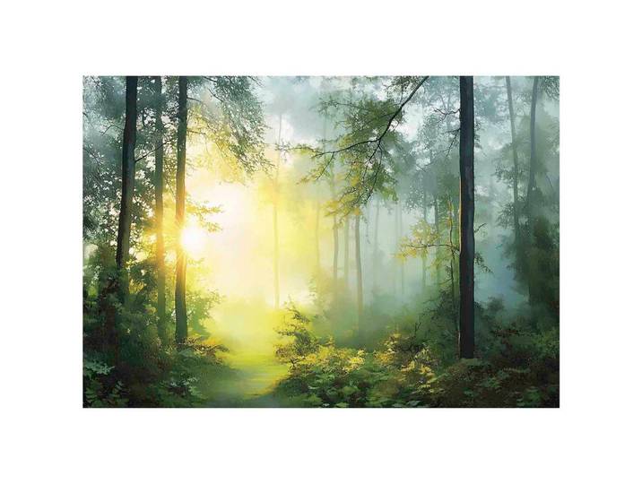FOTOTAPETE 3D Effekt Wald Sonne Wohnzimmer 200x140