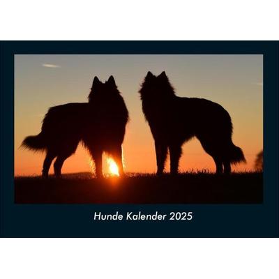 Hunde Kalender 2025 Fotokalender DIN A4