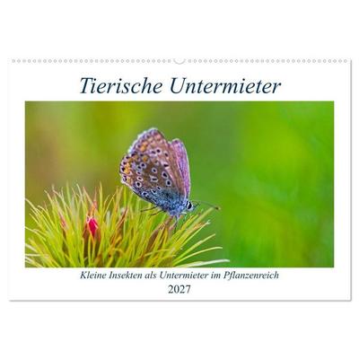 Tierische Untermieter (Wandkalender 2027 DIN A2 quer), CALVENDO Monatskalender