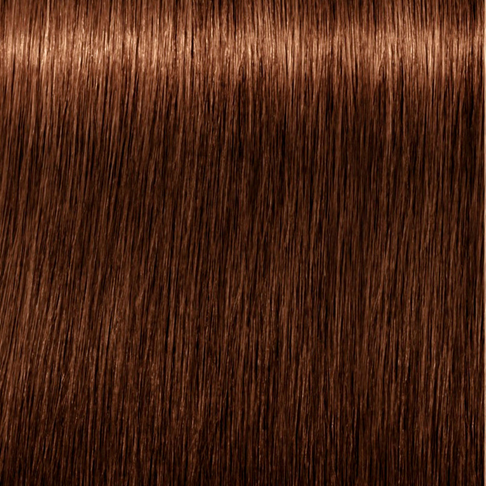 Schwarzkopf Igora Royal nude tones #6-46