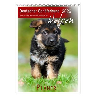 Deutscher Schäferhund - Welpen, Planer (Tischkalender 2026 DIN A5 hoch), CALVENDO Monatskalender