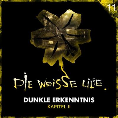 11: Dunkle Erkenntnis - Kapitel II - Benjamin Oechsle, Audio, 4064067880063
