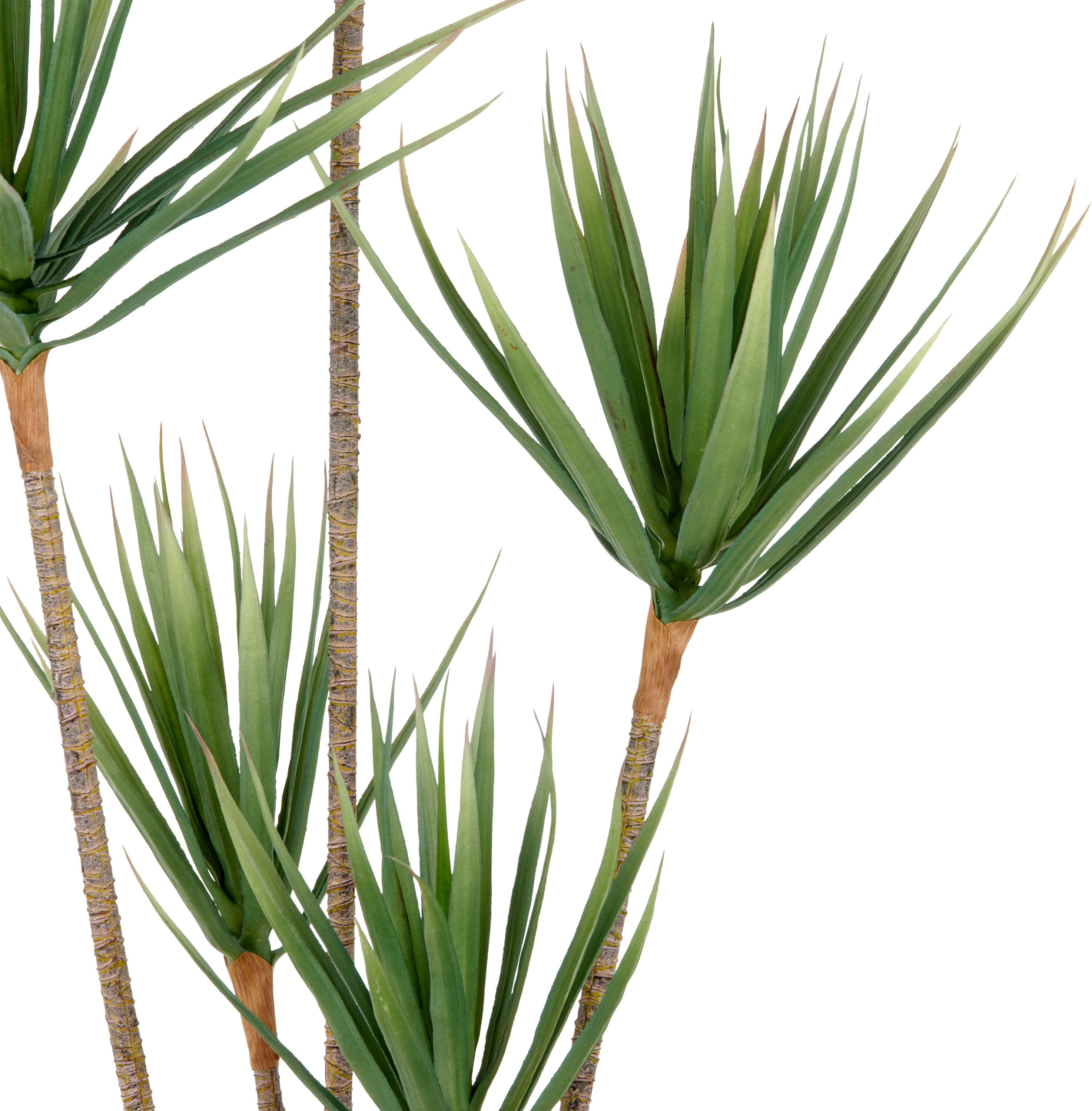 Kunstpflanze CREATIV GREEN "Dracaena draco", grün, H:165cm, Kunststoff, Kunstpflanzen, Kunstpflanze, mit 5 Stämmen