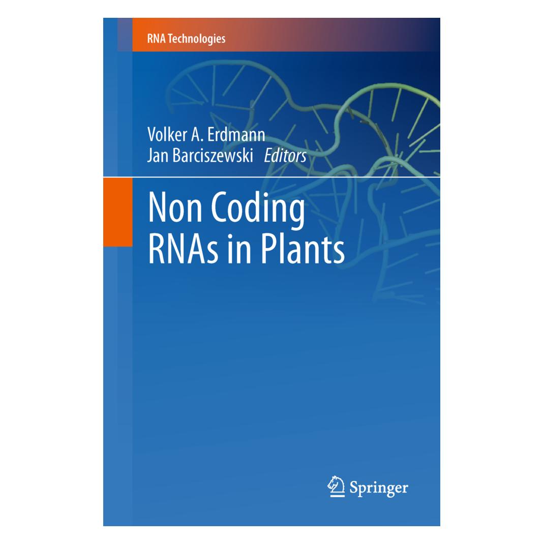 Springer Non Coding RNAs in Plants (Englisch, Softcover, Jan Barciszewski, Volker A. Erdmann) (55528342)