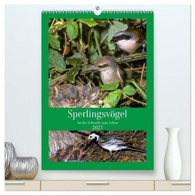 Sperlingsvögel an der Schwelle zum Leben (hochwertiger Premium Wandkalender 2027 DIN A2 hoch), Kunstdruck in Hochglanz
