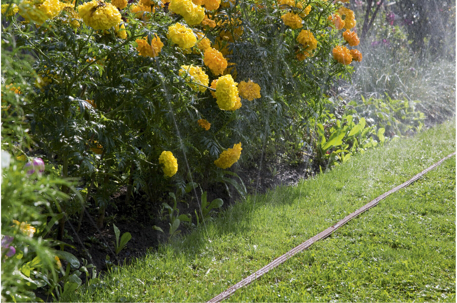Gardena Schlauch-Regner, braun, Länge 15 m (01999-20)