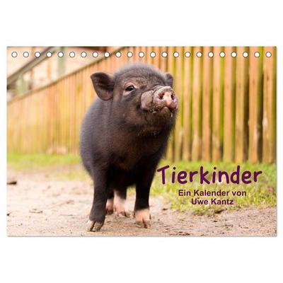 Tierkinder (Tischkalender 2027 DIN A5 quer), CALVENDO Monatskalender