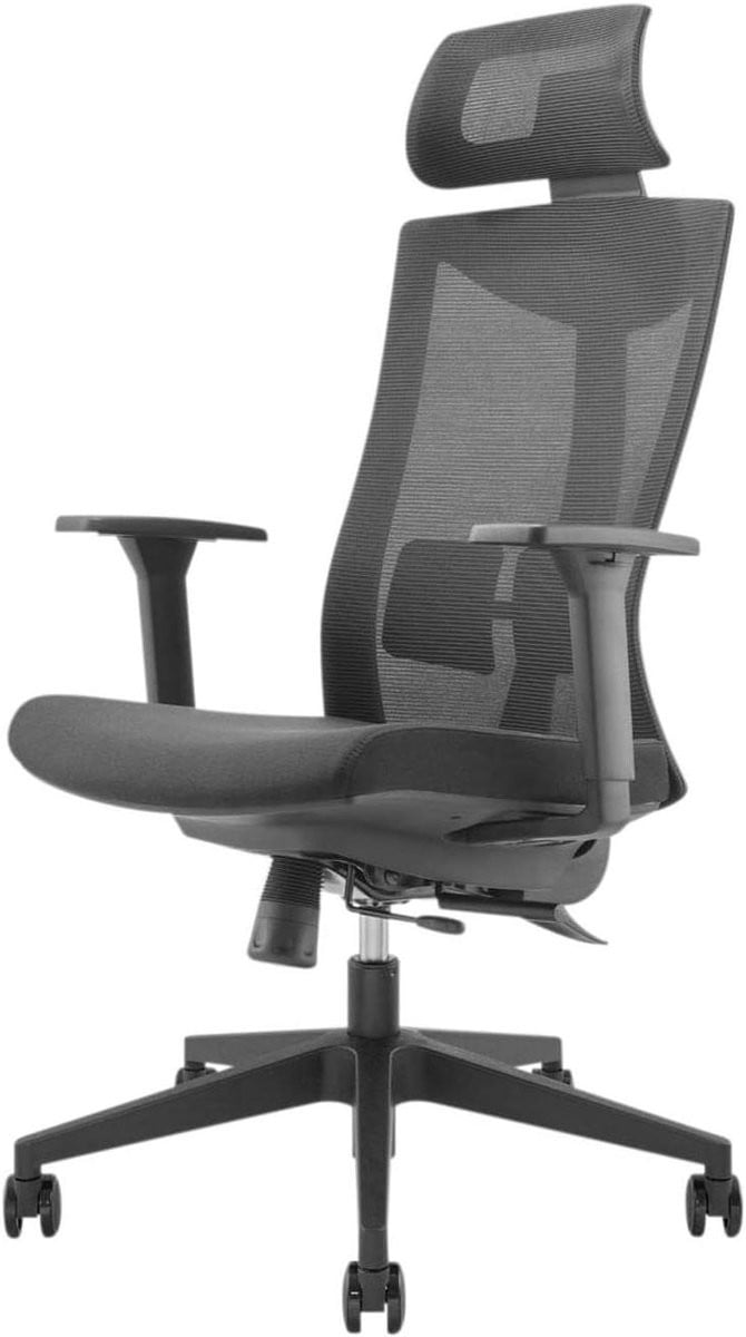 Ergonomische bureaustoel met armleuningen en wielen - Zwart