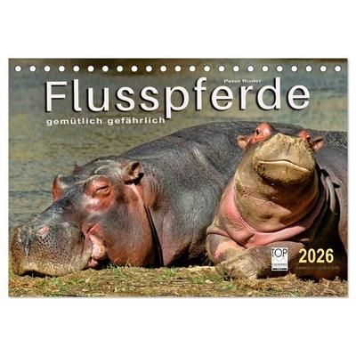 Flusspferde - gemütlich gefährlich (Tischkalender 2026 DIN A5 quer), CALVENDO Monatskalender
