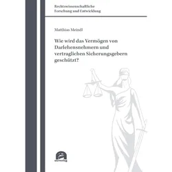 Wie wird das Vermögen von Darlehensnehmern und vertraglichen Sicherungsgebern geschützt?, Fachbücher von Matthias Meindl