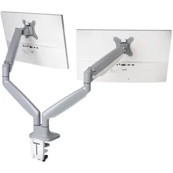 Leitz Dual-Monitorarm (Tisch, 32", 9 kg), Monitor Halterung, Grau