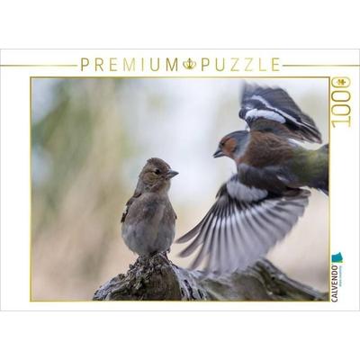 CALVENDO Puzzle Buchfinken bei der Fütterung | 1000 Teile Lege-Größe 64x48cm Foto-Puzzle für glückliche Stunden, Sonstige von , Calvendo Puzzle