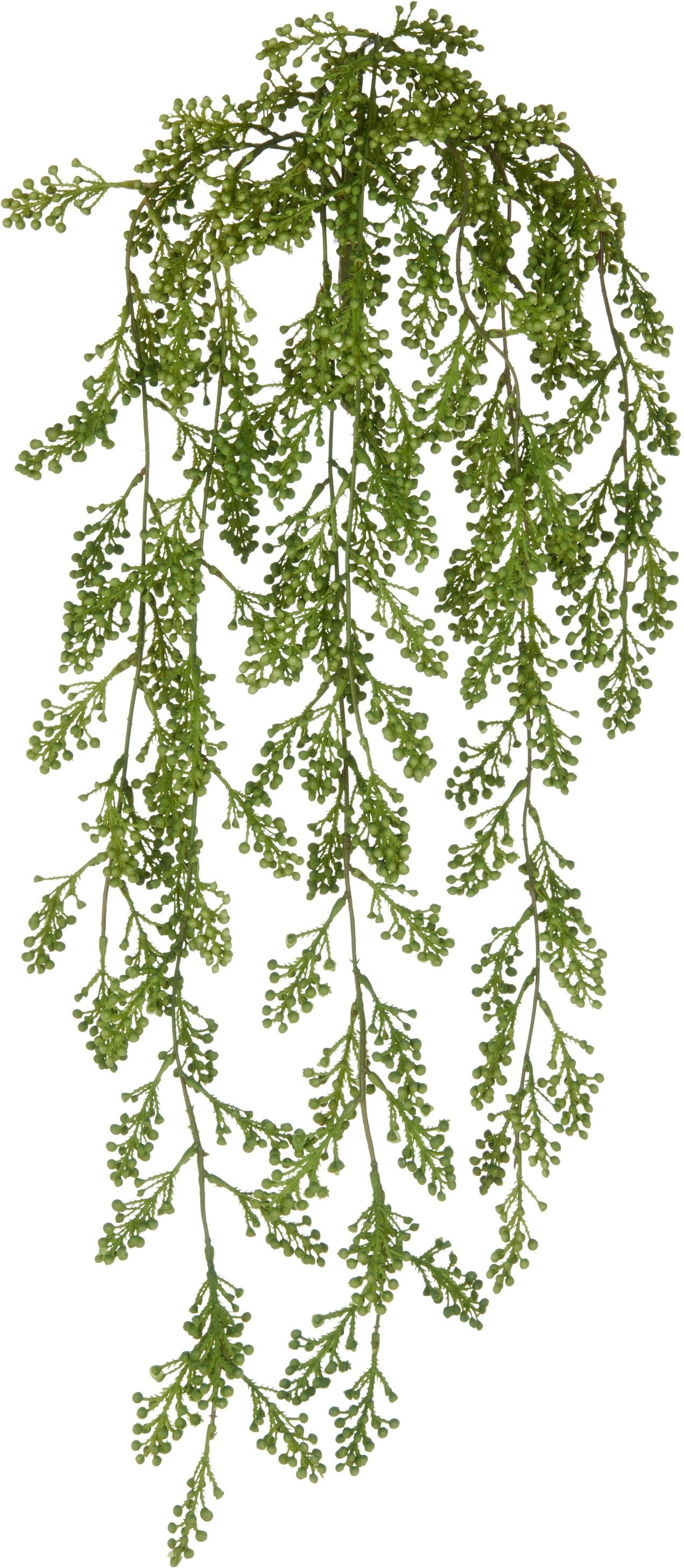 Kunstranke CREATIV GREEN "Sedum", grün, H:80cm, Kunststoff, Kunstpflanzen, mit üppigen Ranken
