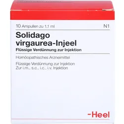 Solidago Virga Inj 10 ST