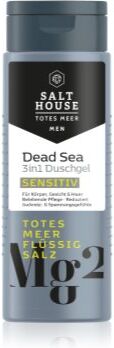 Salt House Dead Sea Men gel de banho para homens 3 em 1 250 ml. Dead Sea Men