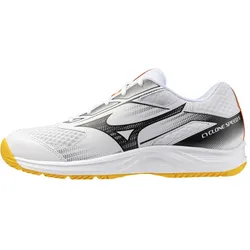 Mizuno, Herren, Hallenschuhe, Cyclone Speed 5 (44.5), Mehrfarbig