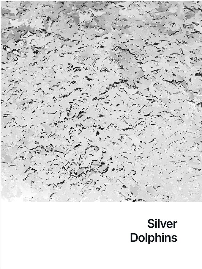Hemway Shaped Ultra Sparkle Glitter   Dolphin   Cosmetic, Festival, Crafts - Silver - Shaped 50g